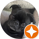 Cassandra P. profile picture